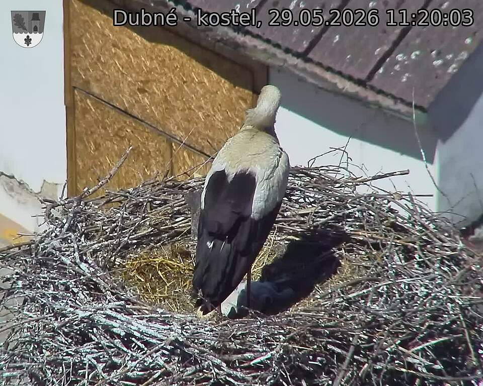 preload