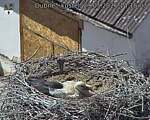 Capi_Dubne_20260529_141503.jpg