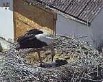 Capi_Dubne_20260529_142503.jpg