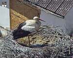 Capi_Dubne_20260529_143003.jpg