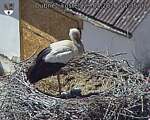 Capi_Dubne_20260529_143502.jpg