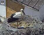 Capi_Dubne_20260529_144003.jpg