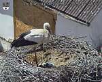 Capi_Dubne_20260529_144503.jpg