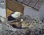 Capi_Dubne_20260529_145503.jpg