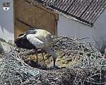Capi_Dubne_20260529_151003.jpg