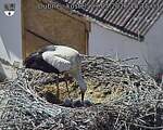 Capi_Dubne_20260529_151503.jpg
