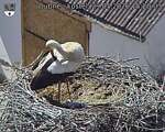 Capi_Dubne_20260529_152003.jpg