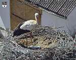 Capi_Dubne_20260529_152503.jpg