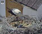 Capi_Dubne_20260529_155003.jpg