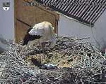 Capi_Dubne_20260529_160503.jpg