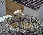 Capi_Dubne_20260529_164003.jpg