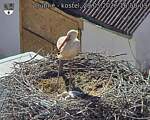 Capi_Dubne_20260529_165003.jpg