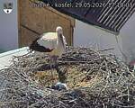 Capi_Dubne_20260529_171003.jpg