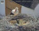Capi_Dubne_20260529_171502.jpg