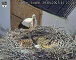 Capi_Dubne_20260529_172002.jpg