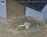 Capi_Dubne_20260529_201003.jpg