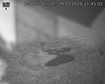 Capi_Dubne_20260529_214502.jpg