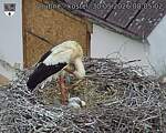 Capi_Dubne_20260530_080502.jpg