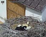Capi_Dubne_20260530_110503.jpg