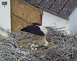 Capi_Dubne_20260530_111003.jpg