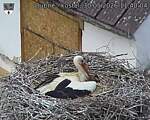 Capi_Dubne_20260530_114004.jpg