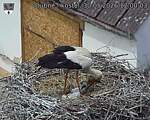 Capi_Dubne_20260530_120003.jpg