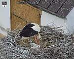 Capi_Dubne_20260530_122503.jpg