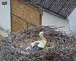 Capi_Dubne_20260530_124003.jpg
