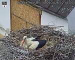 Capi_Dubne_20260530_124503.jpg