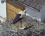 Capi_Dubne_20260530_134503.jpg