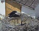Capi_Dubne_20260530_135002.jpg