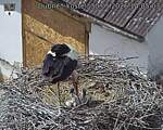 Capi_Dubne_20260530_140503.jpg