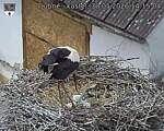 Capi_Dubne_20260530_141504.jpg