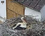 Capi_Dubne_20260530_142503.jpg