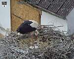 Capi_Dubne_20260530_143003.jpg