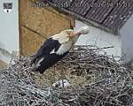 Capi_Dubne_20260530_143503.jpg