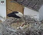Capi_Dubne_20260530_144002.jpg