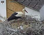 Capi_Dubne_20260530_144502.jpg