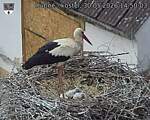 Capi_Dubne_20260530_145003.jpg