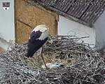 Capi_Dubne_20260530_145502.jpg