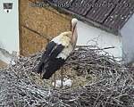 Capi_Dubne_20260530_152003.jpg