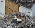 Capi_Dubne_20260530_154002.jpg