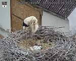 Capi_Dubne_20260530_160502.jpg