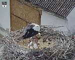 Capi_Dubne_20260530_161004.jpg
