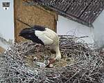 Capi_Dubne_20260530_162003.jpg