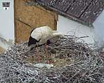 Capi_Dubne_20260530_162503.jpg
