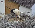 Capi_Dubne_20260530_165004.jpg