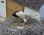 Capi_Dubne_20260530_165503.jpg