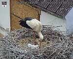 Capi_Dubne_20260530_170003.jpg