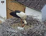 Capi_Dubne_20260530_170503.jpg